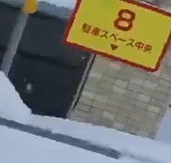 ステージ4すい臓がんYouTuber　視聴者に「無職？」と疑問を持たれた夫の職業を明言