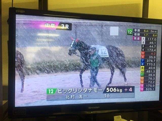 一番くだらないことを言った人が優勝🏆