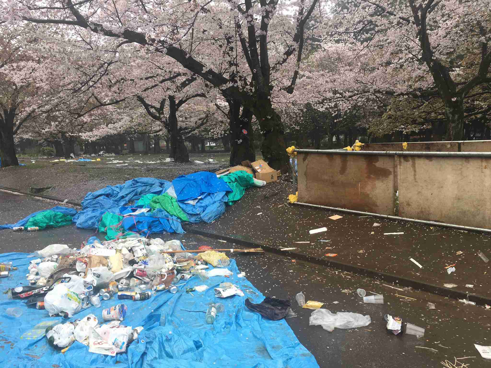 花見の名所で1週間前から「場所取り」...大手企業に批判　広報が事実認め謝罪「配慮に欠けた」