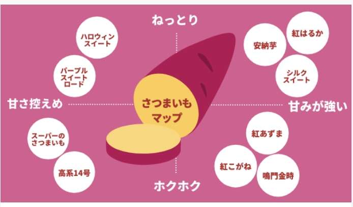 さつまいも好きな人！