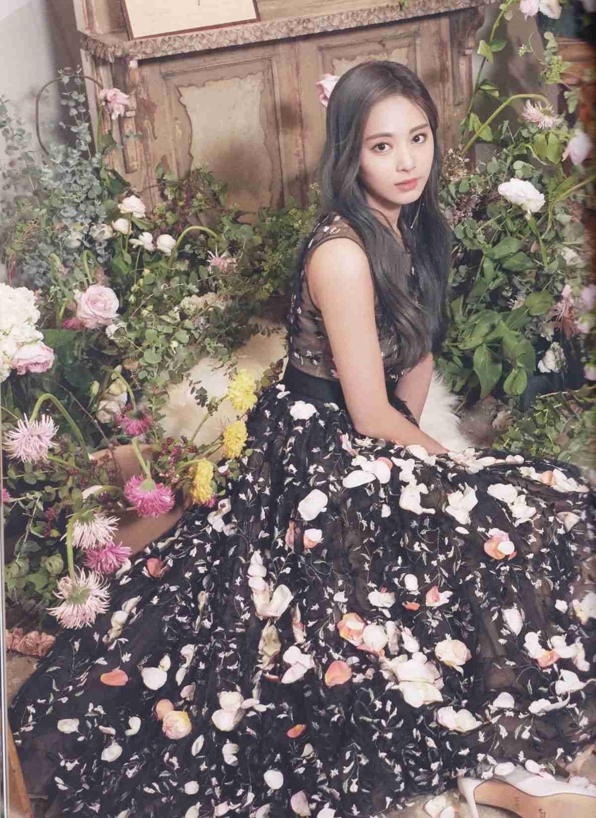 TWICE好きな人 part4 【アンチ厳禁】