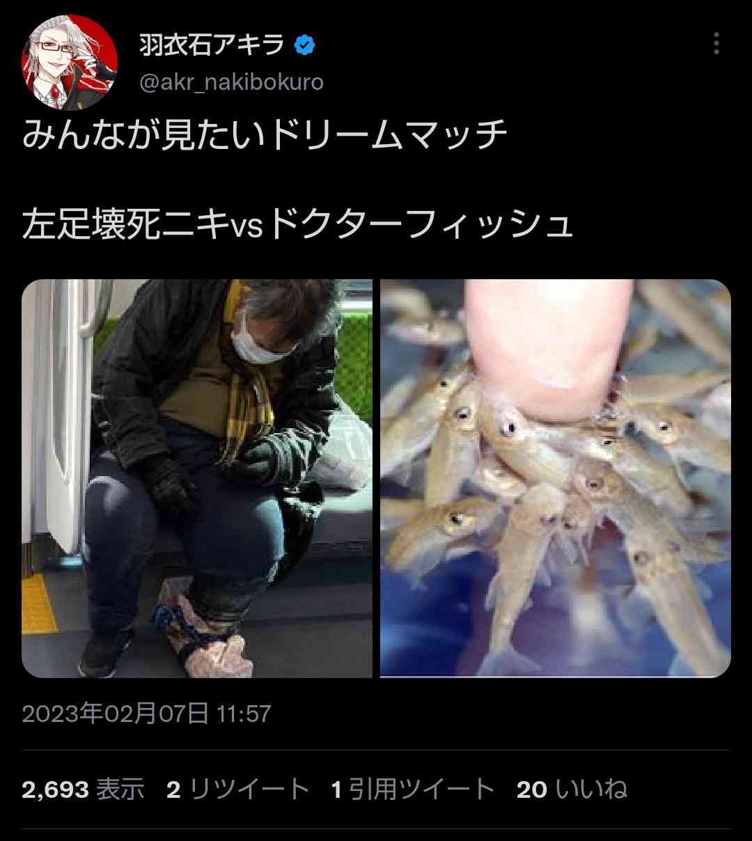 電動ノコギリで解体、寸胴鍋から頭部が… 香港「人気モデル」を殺害した、元夫“パラサイト一家”のおぞましき凶行