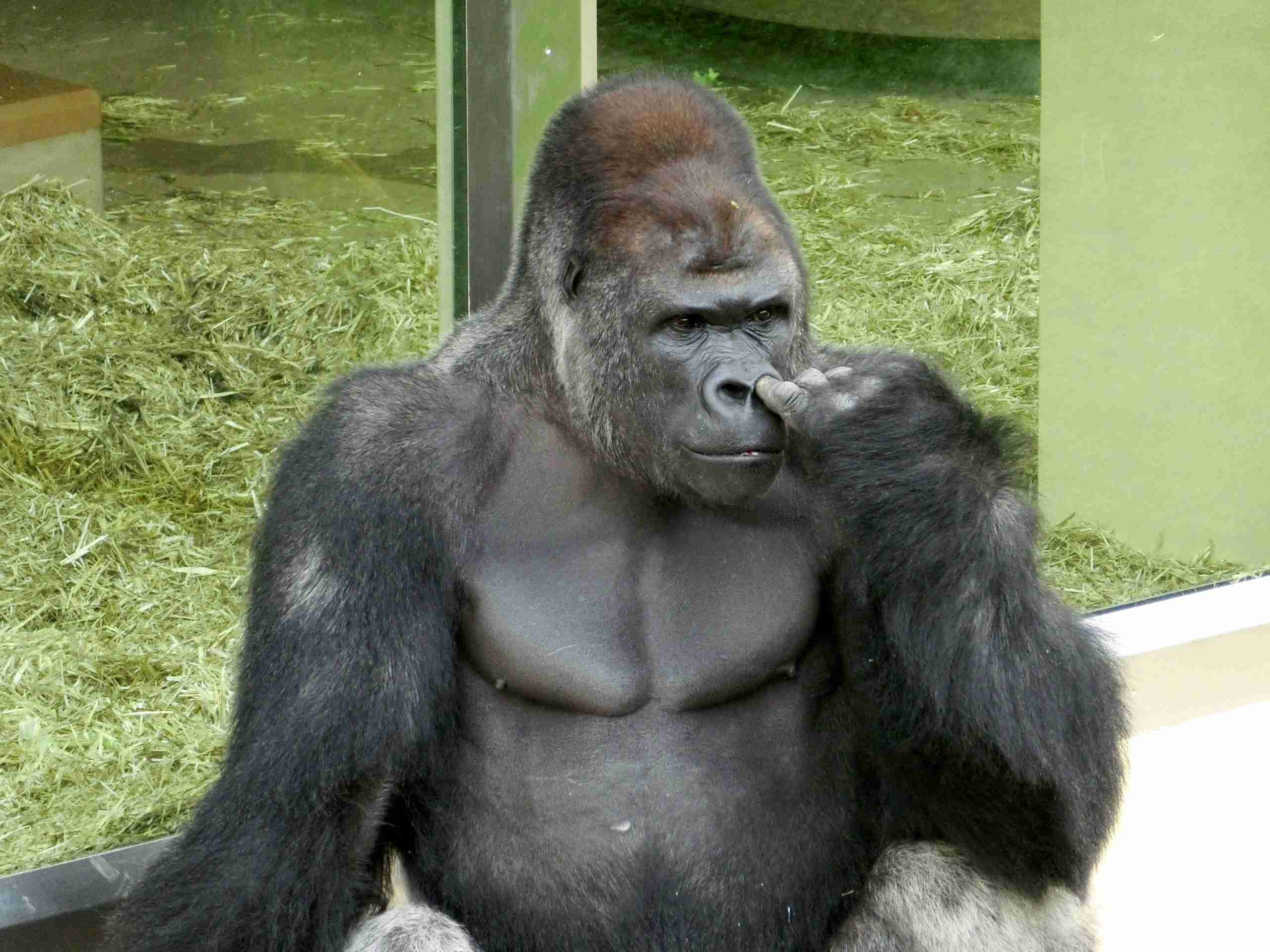 鼻くそ問題について