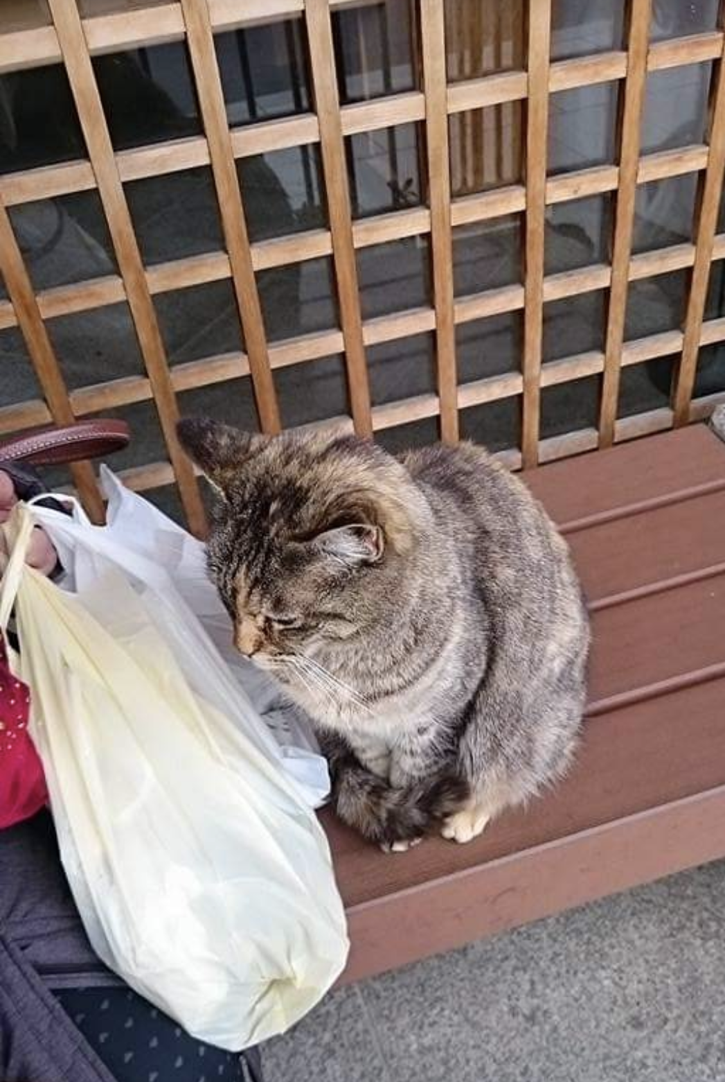 神社やパワースポットに行った後起きた、不思議な体験、ご利益体験part26