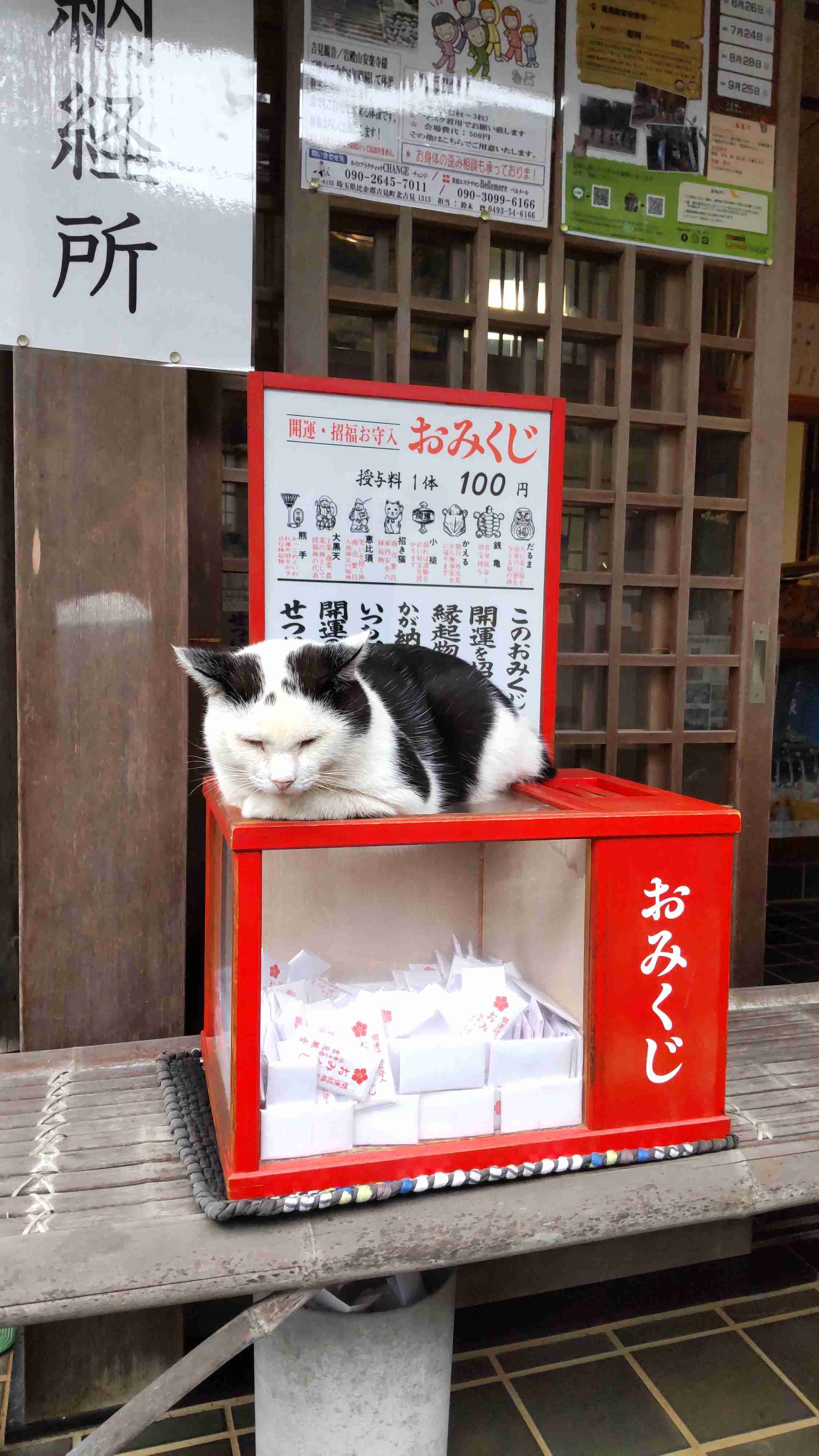 神社やパワースポットに行った後起きた、不思議な体験、ご利益体験part26
