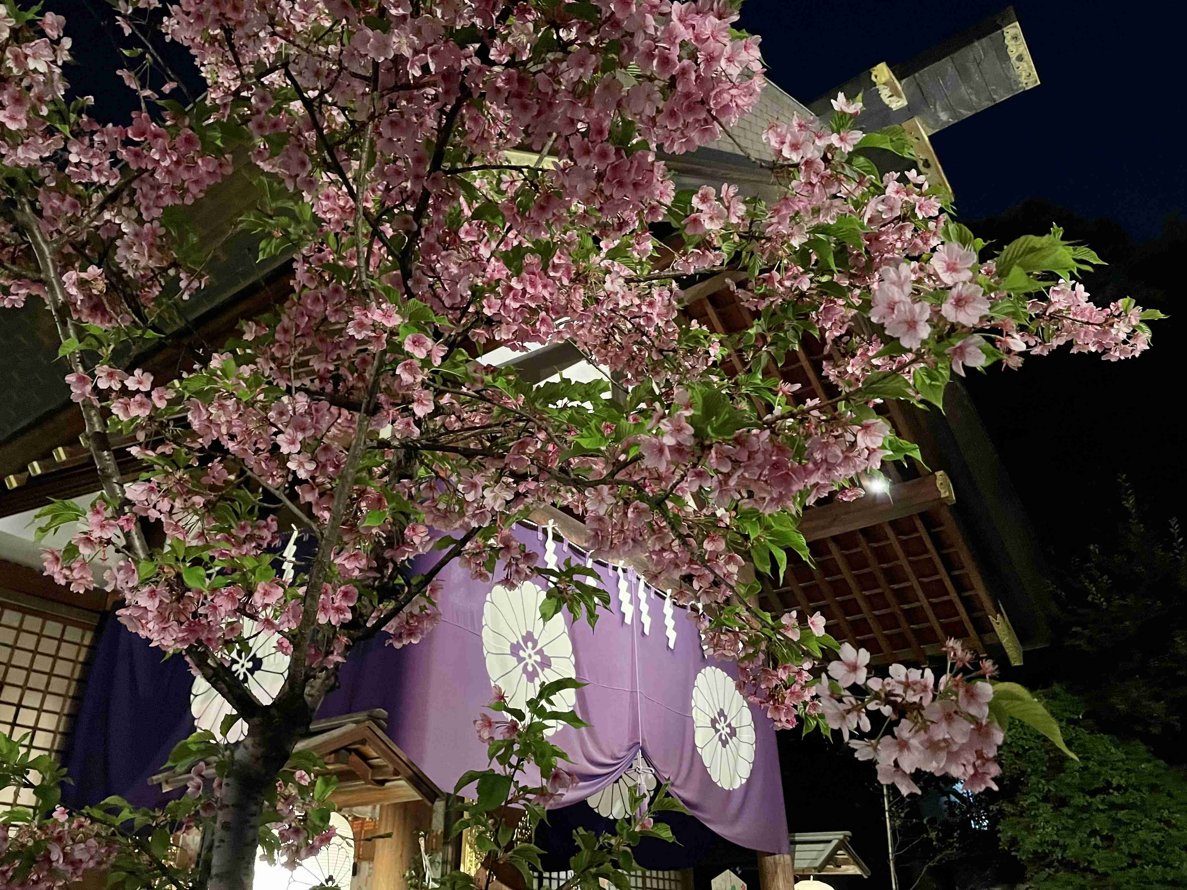 神社やパワースポットに行った後起きた、不思議な体験、ご利益体験part26