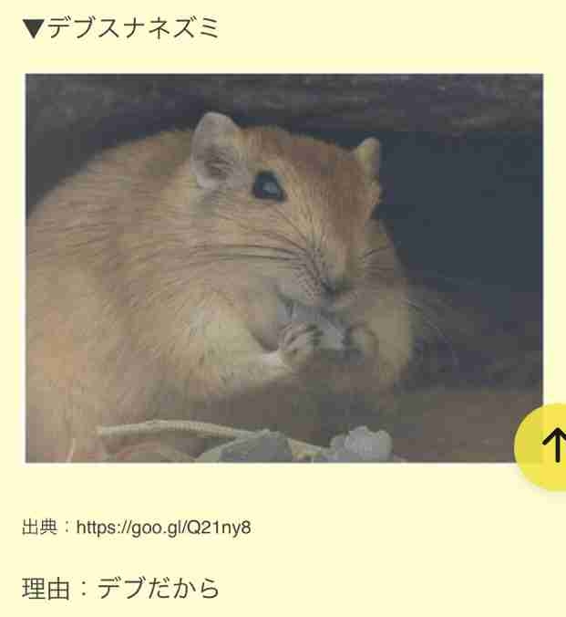 ネーミングセンスないと思った名前