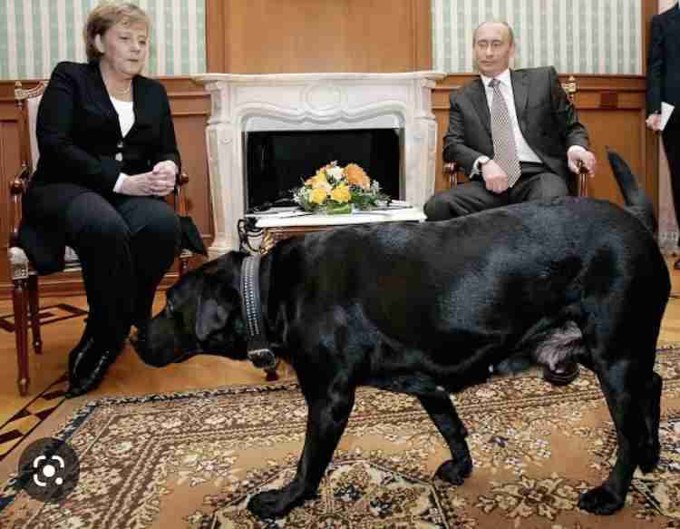 プーチン大統領に贈った秋田犬、日露交流途絶え情報なし…「元気なうちに姿見せてほしい」