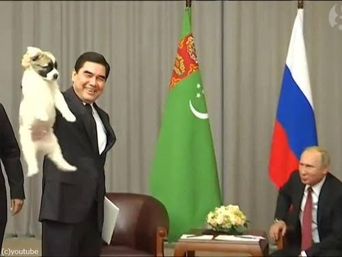 プーチン大統領に贈った秋田犬、日露交流途絶え情報なし…「元気なうちに姿見せてほしい」