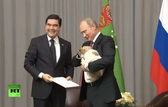 プーチン大統領に贈った秋田犬、日露交流途絶え情報なし…「元気なうちに姿見せてほしい」