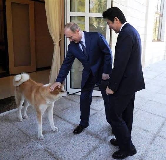 プーチン大統領に贈った秋田犬、日露交流途絶え情報なし…「元気なうちに姿見せてほしい」