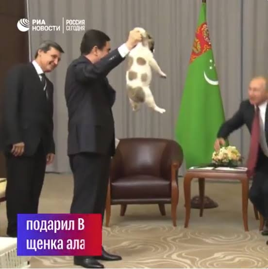 プーチン大統領に贈った秋田犬、日露交流途絶え情報なし…「元気なうちに姿見せてほしい」