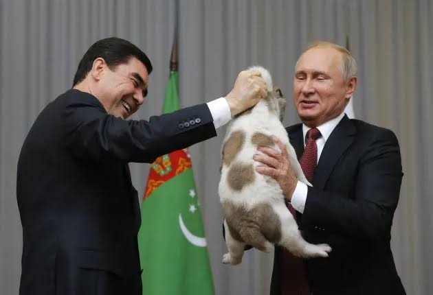 プーチン大統領に贈った秋田犬、日露交流途絶え情報なし…「元気なうちに姿見せてほしい」