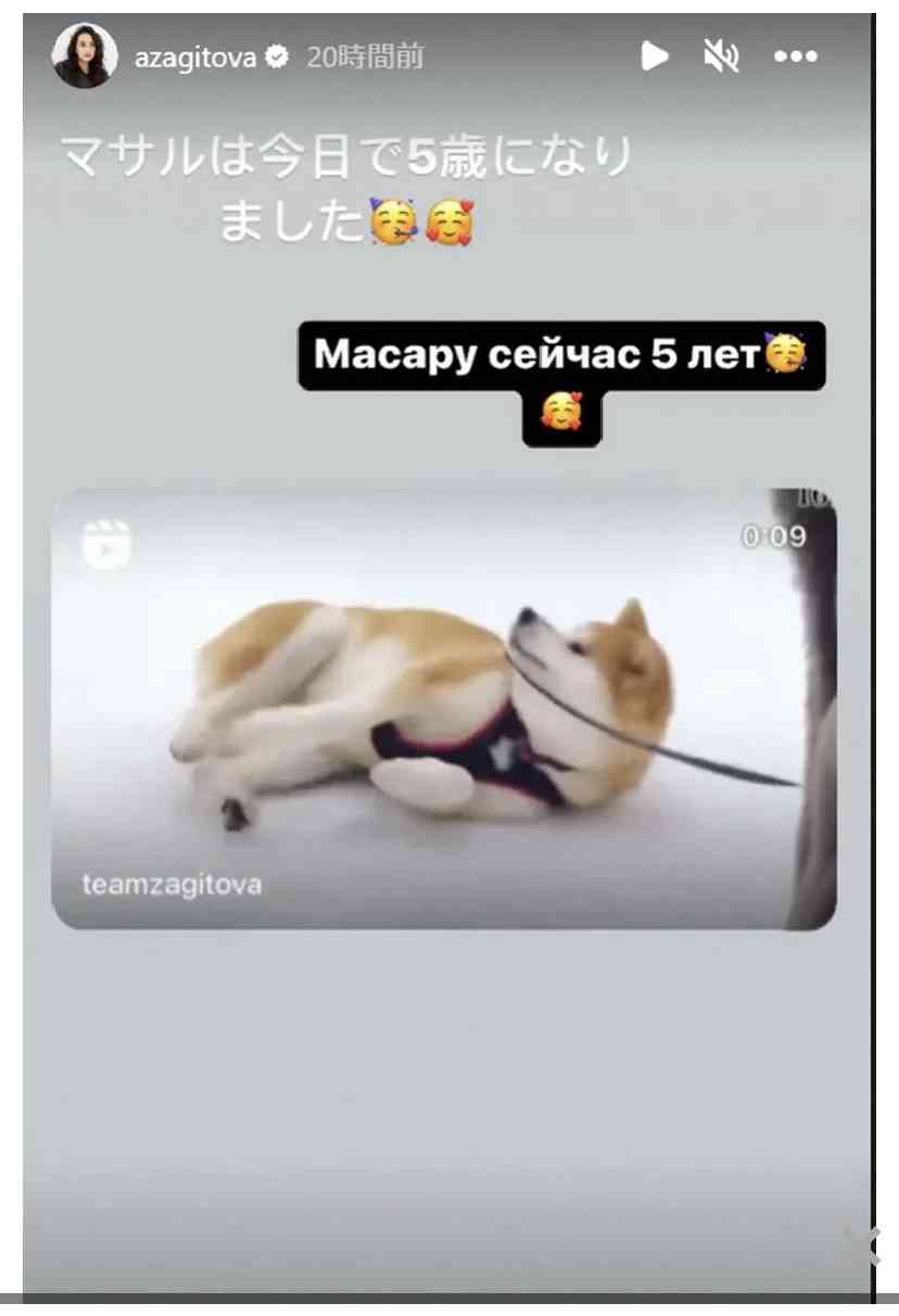 プーチン大統領に贈った秋田犬、日露交流途絶え情報なし…「元気なうちに姿見せてほしい」