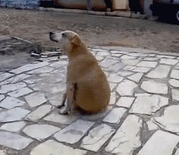 痔に気づいたきっかけ。
