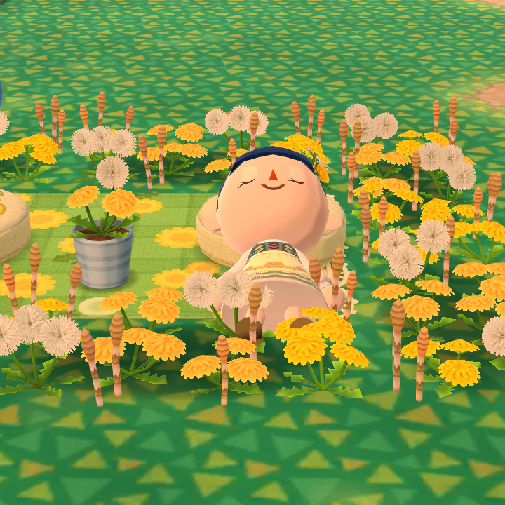 【ポケ森】どうぶつの森 ポケットキャンプ【part63】
