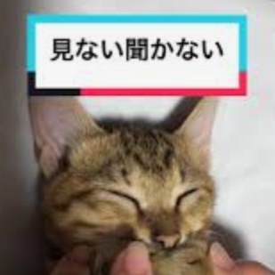 他人から自分の体型、体重を批判される人