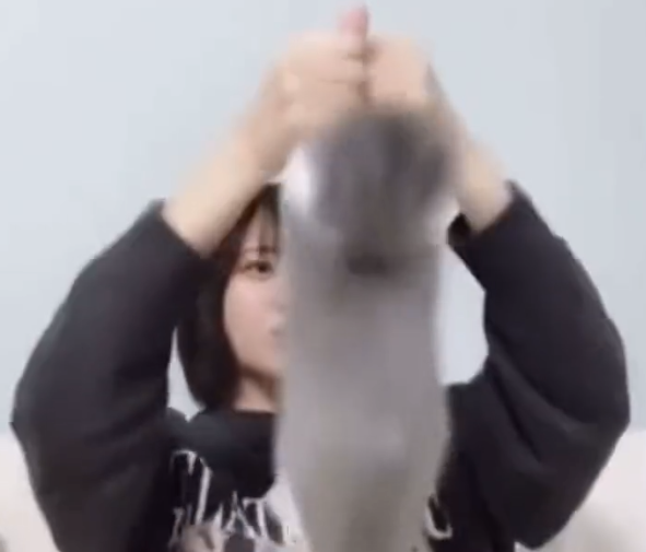 指原プロデュースアイドル、飼い猫投げる叩くで大炎上「おもちゃ扱い」「ぞっとした」ドン引きの中擁護の声も