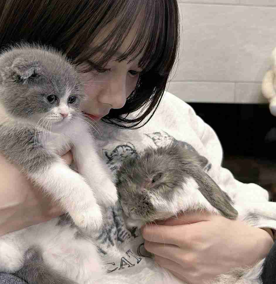 指原プロデュースアイドル、飼い猫投げる叩くで大炎上「おもちゃ扱い」「ぞっとした」ドン引きの中擁護の声も