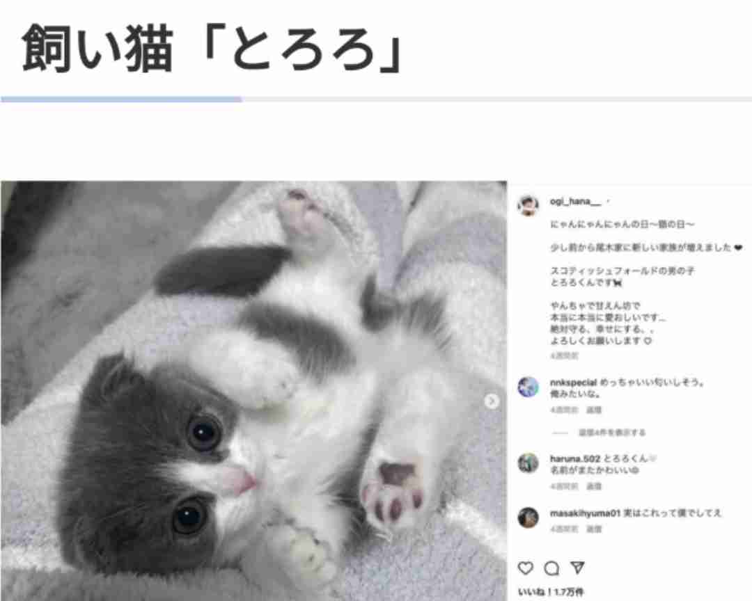 指原プロデュースアイドル、飼い猫投げる叩くで大炎上「おもちゃ扱い」「ぞっとした」ドン引きの中擁護の声も