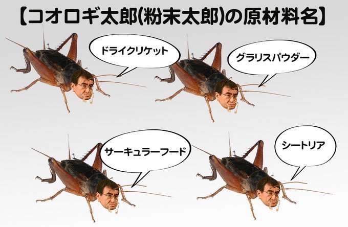 登録者数60万人の現役内科医ユーチューバー　“コオロギ食”発言で裁判か「内容証明郵便が届きました」