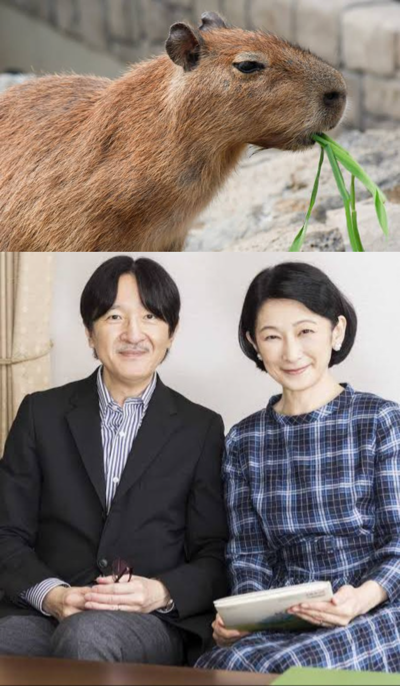東京新聞が報じて炎上の「カラス生食会」に現職国会議員も参加していた　主催者は「これからも食べ続けます」