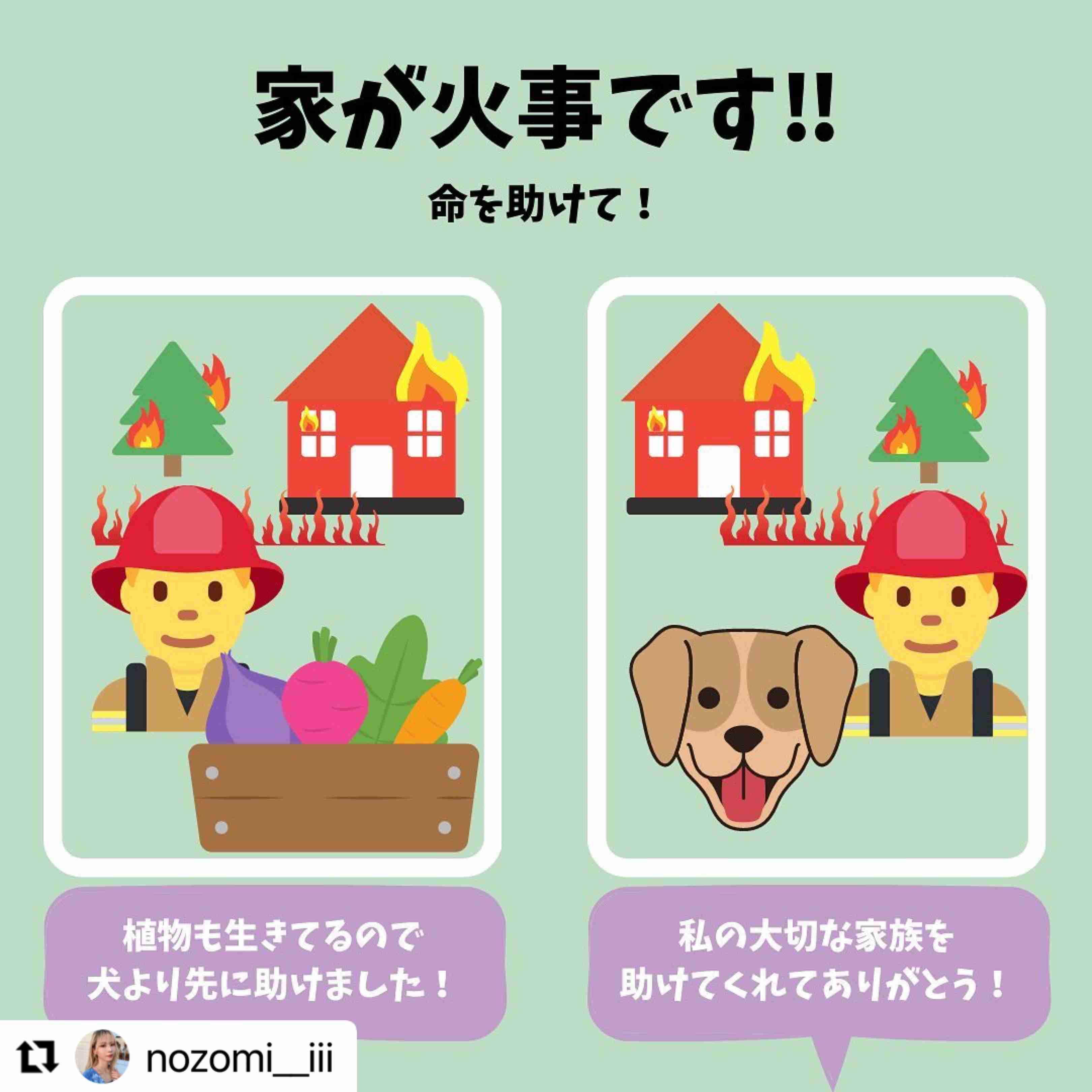 「スーパーのパック肉に怒りを感じてた」菜食生活の沼にハマった20代女性の戦い