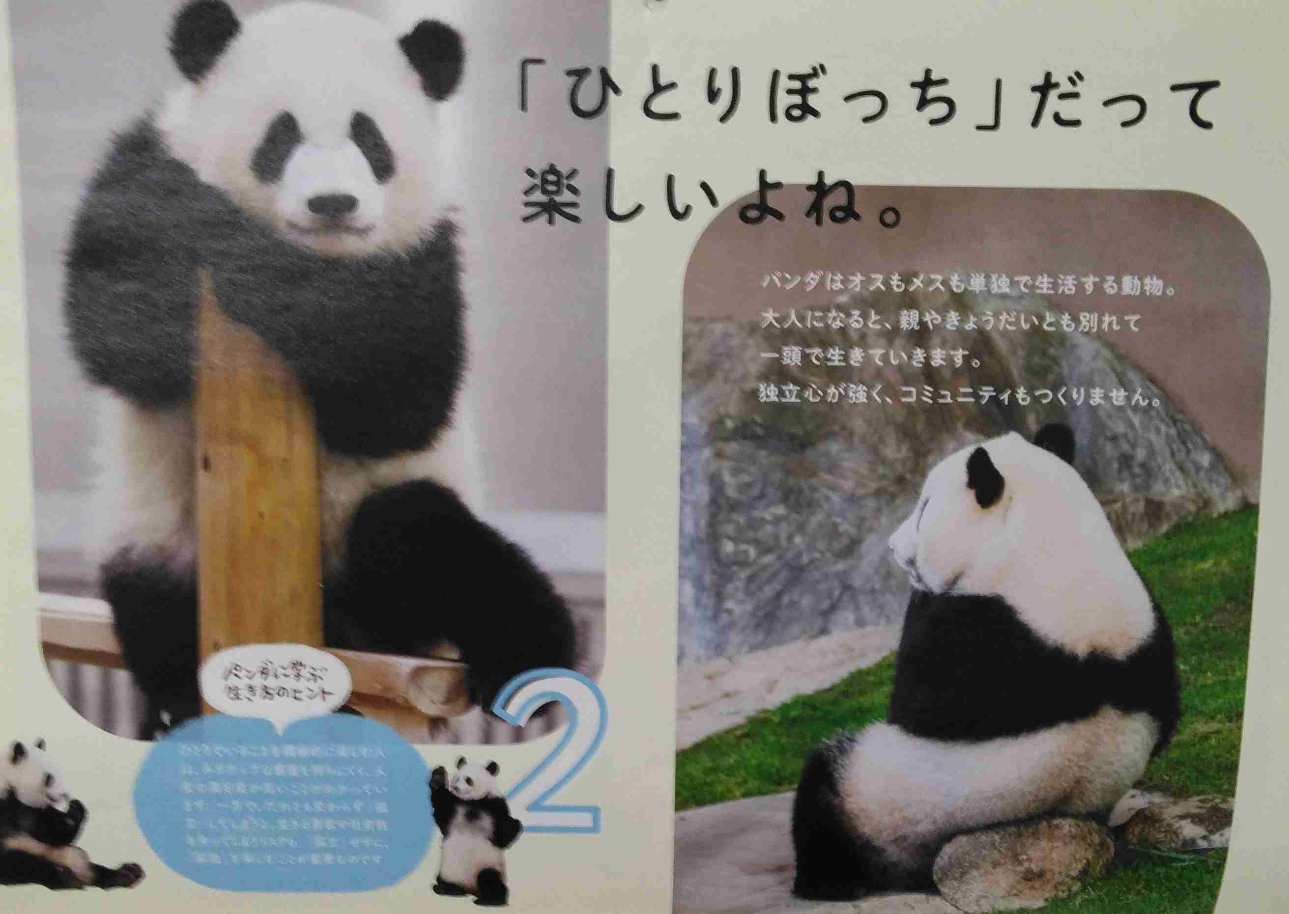 【定期】ぼっちcafeまったりトーク【16号店】