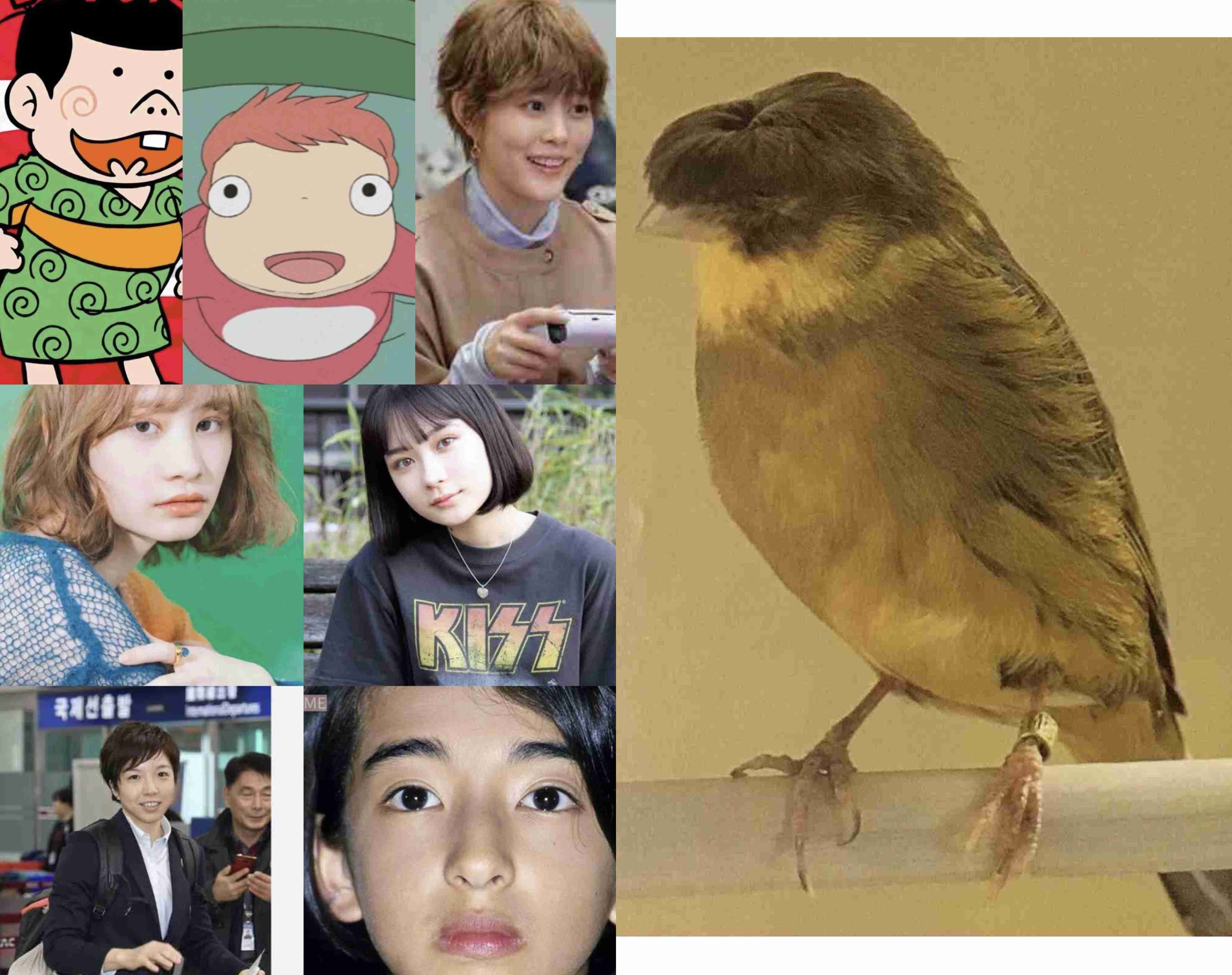 そっくりさんでなにわ男子を完成させよう