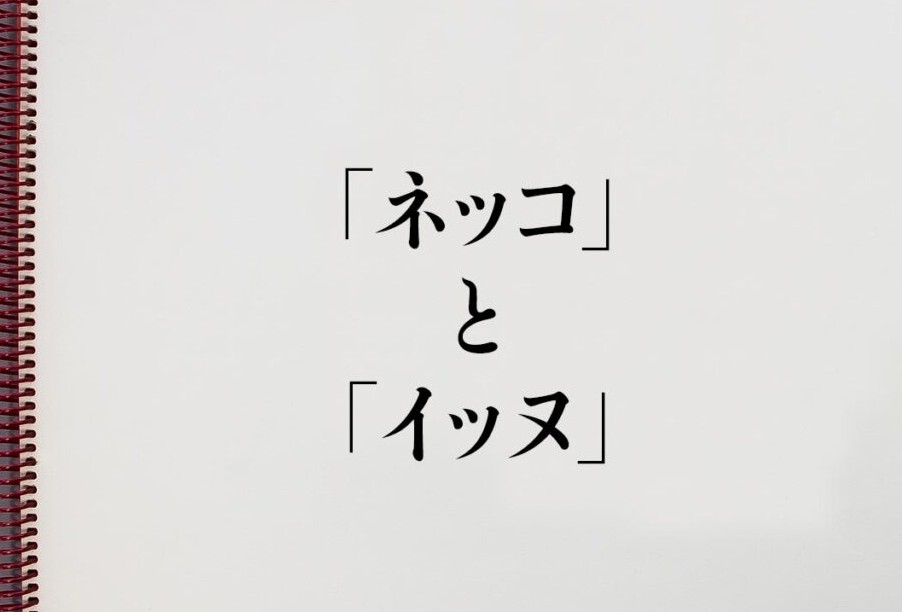 ネット用語でわからないことを知っている人が教えるトピ
