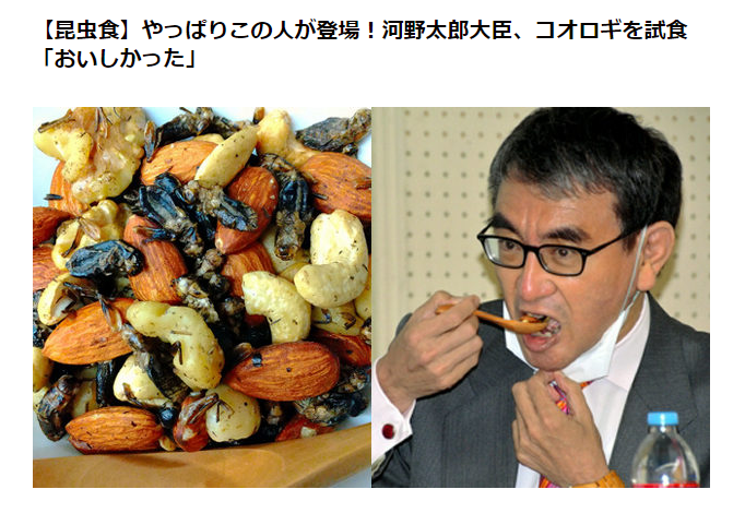 岸田首相が何度も電話で「どうすれば支持率が上がりますか?」麻生氏「これ以上は下がりようがねえよ」のエンドレス茶番に終止符を