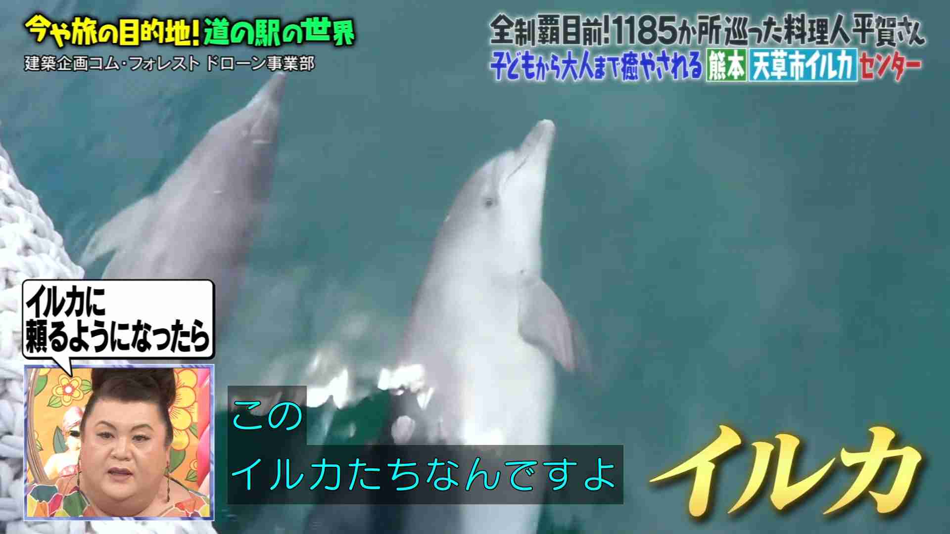 A型は美川憲一、B型はマツコ、O型は武田鉄矢、AB型はIKKO言葉で話すトピpart4