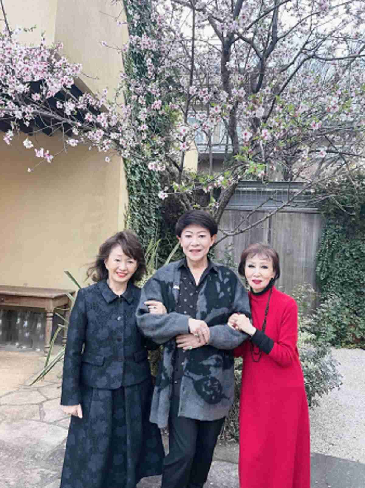 A型は美川憲一、B型はマツコ、O型は武田鉄矢、AB型はIKKO言葉で話すトピpart4
