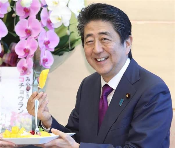 岸信千世氏　公式サイトがまた物議…個人情報を入力しないと入れない