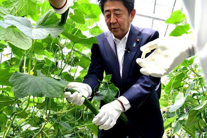 岸信千世氏　公式サイトがまた物議…個人情報を入力しないと入れない