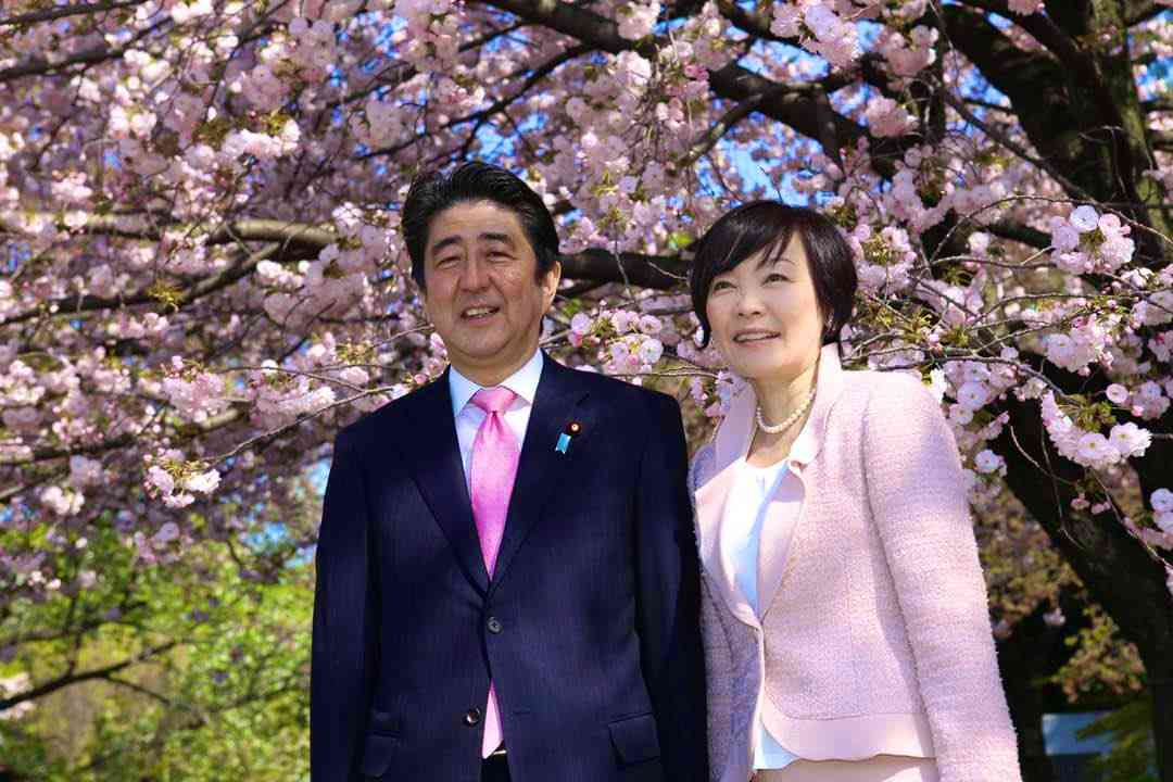 岸信千世氏　公式サイトがまた物議…個人情報を入力しないと入れない