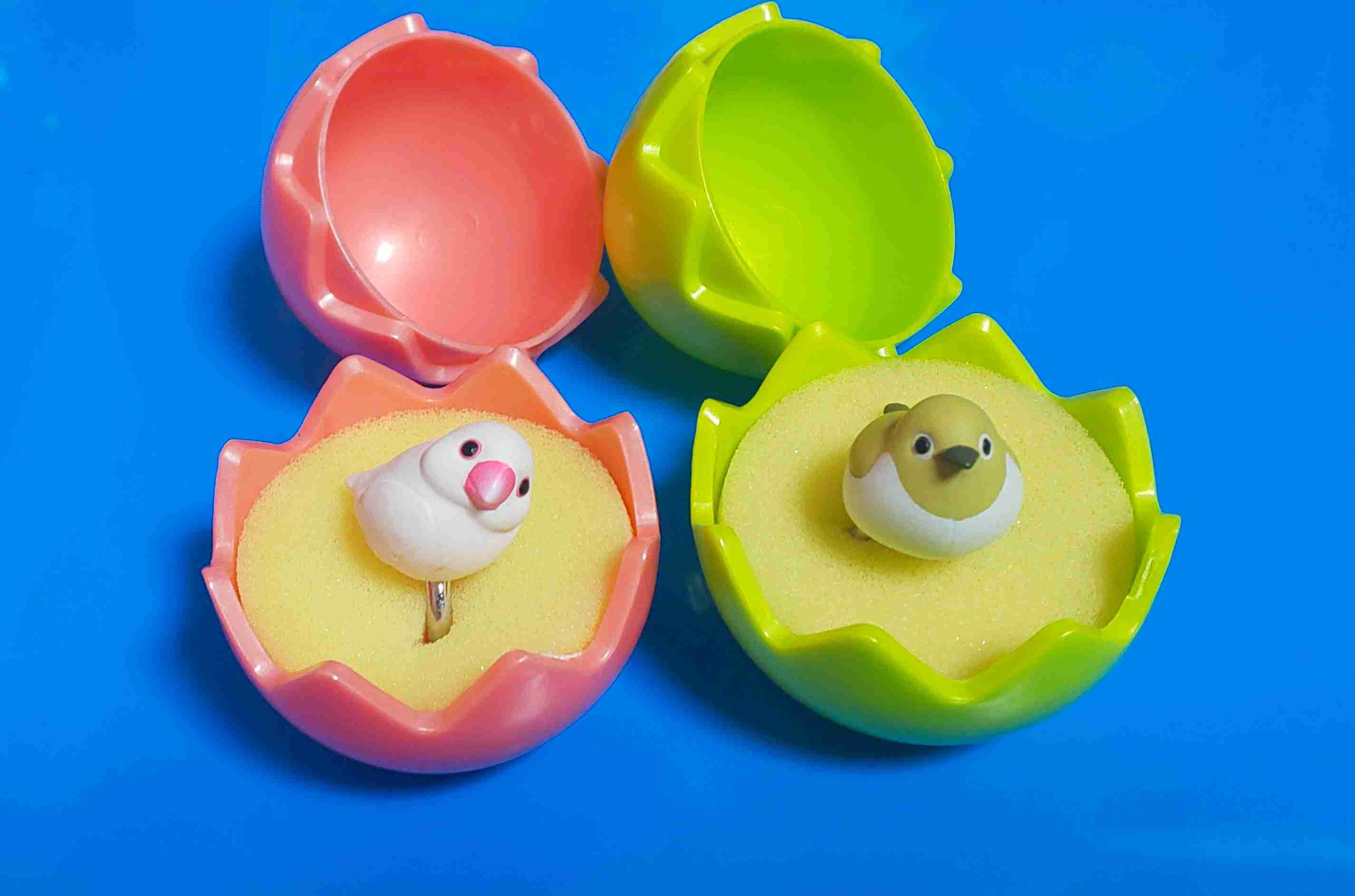 文鳥好きさん、集まりましょう！