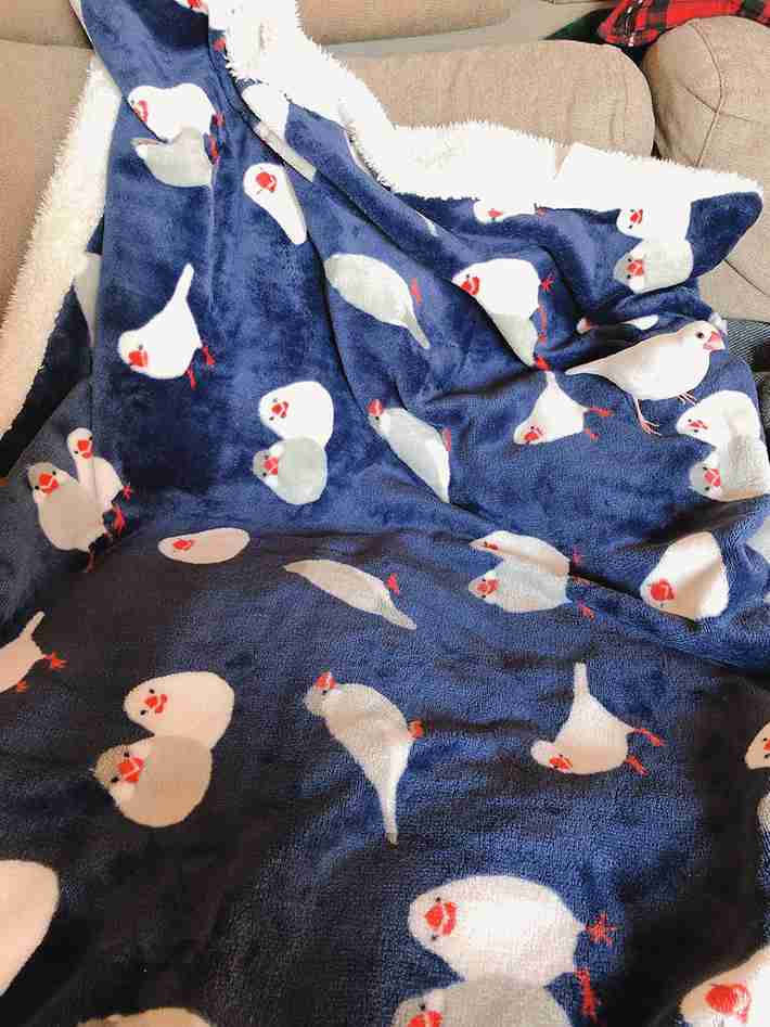 文鳥好きさん、集まりましょう！