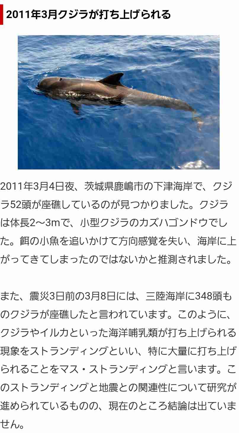 鹿児島の火山 諏訪之瀬島 噴火警戒レベル3(入山規制)に引き上げ