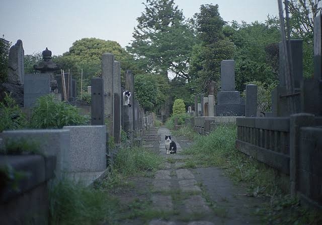 お化けが出そうな場所