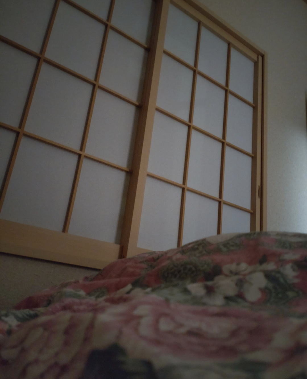 春の我が家の情景を貼るトピ