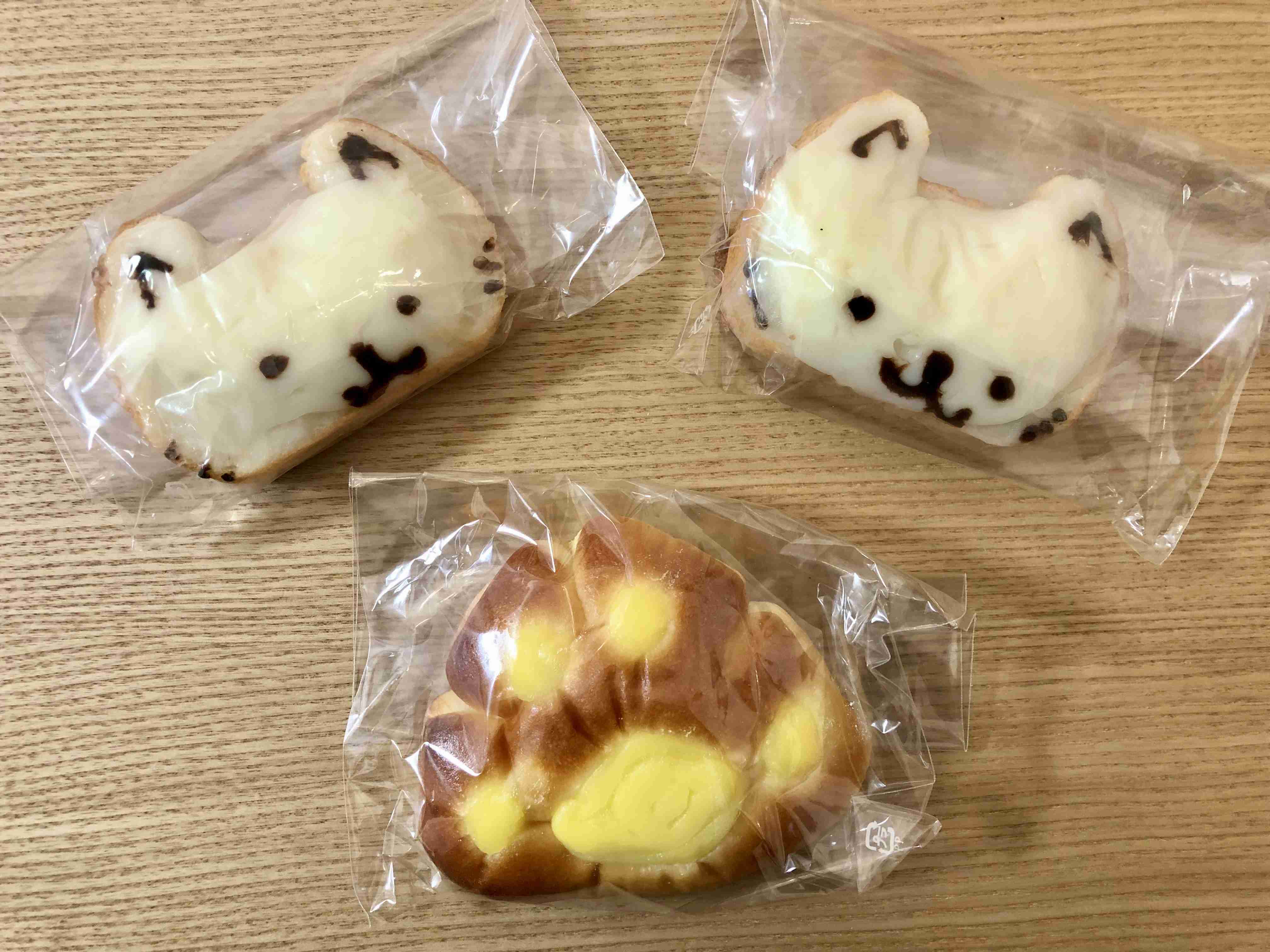 春の我が家の情景を貼るトピ