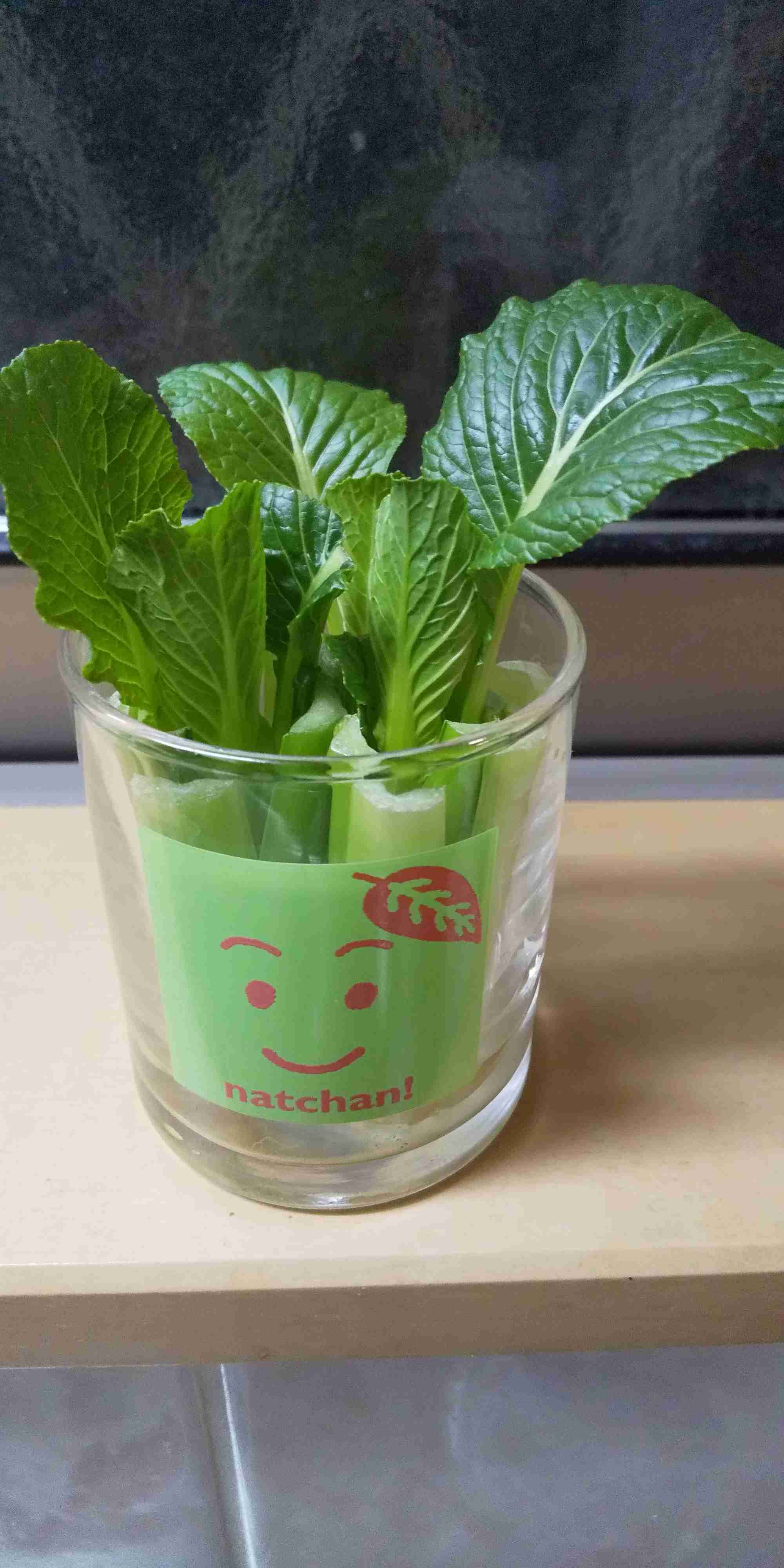 春の我が家の情景を貼るトピ