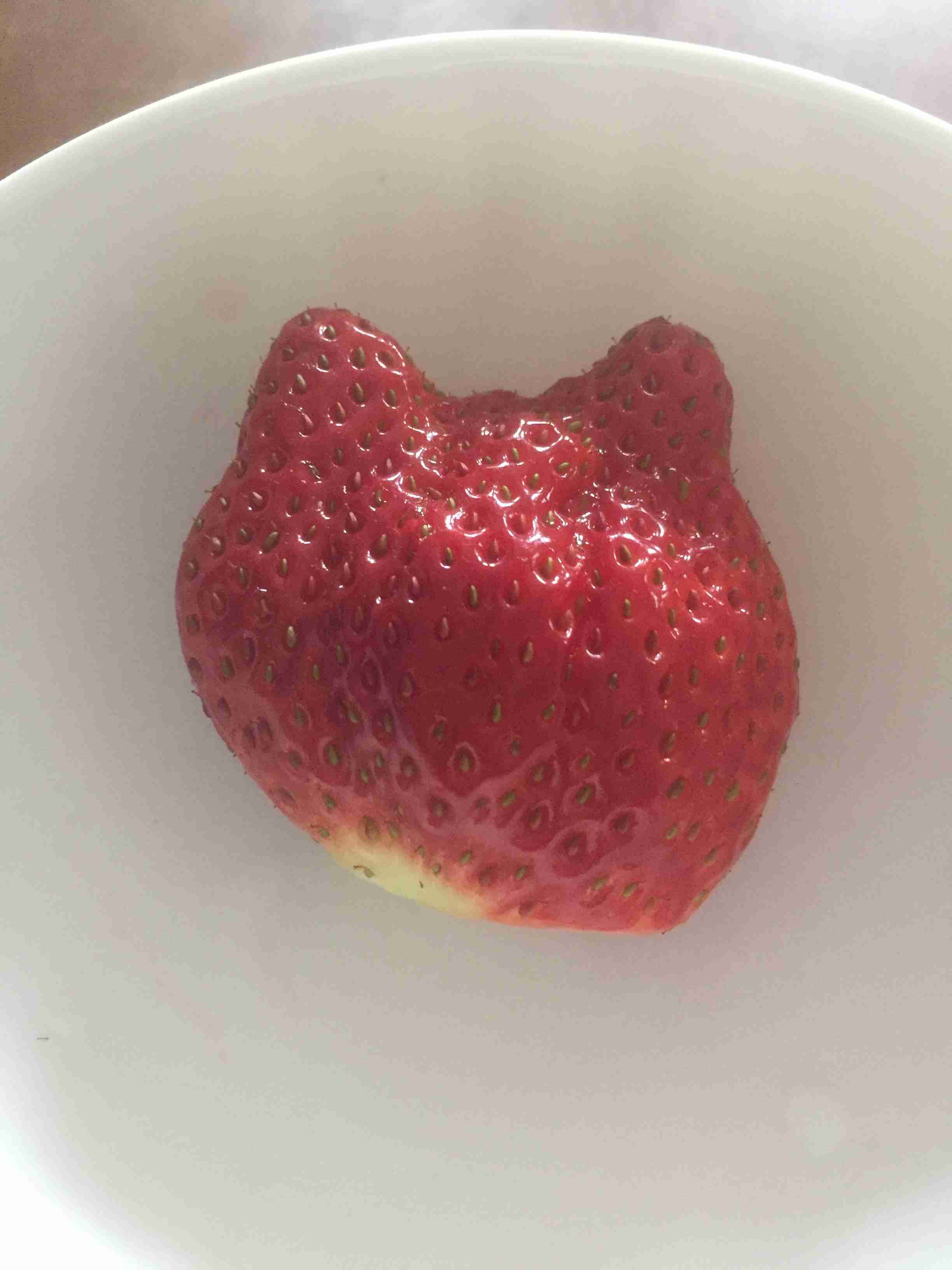 春の我が家の情景を貼るトピ