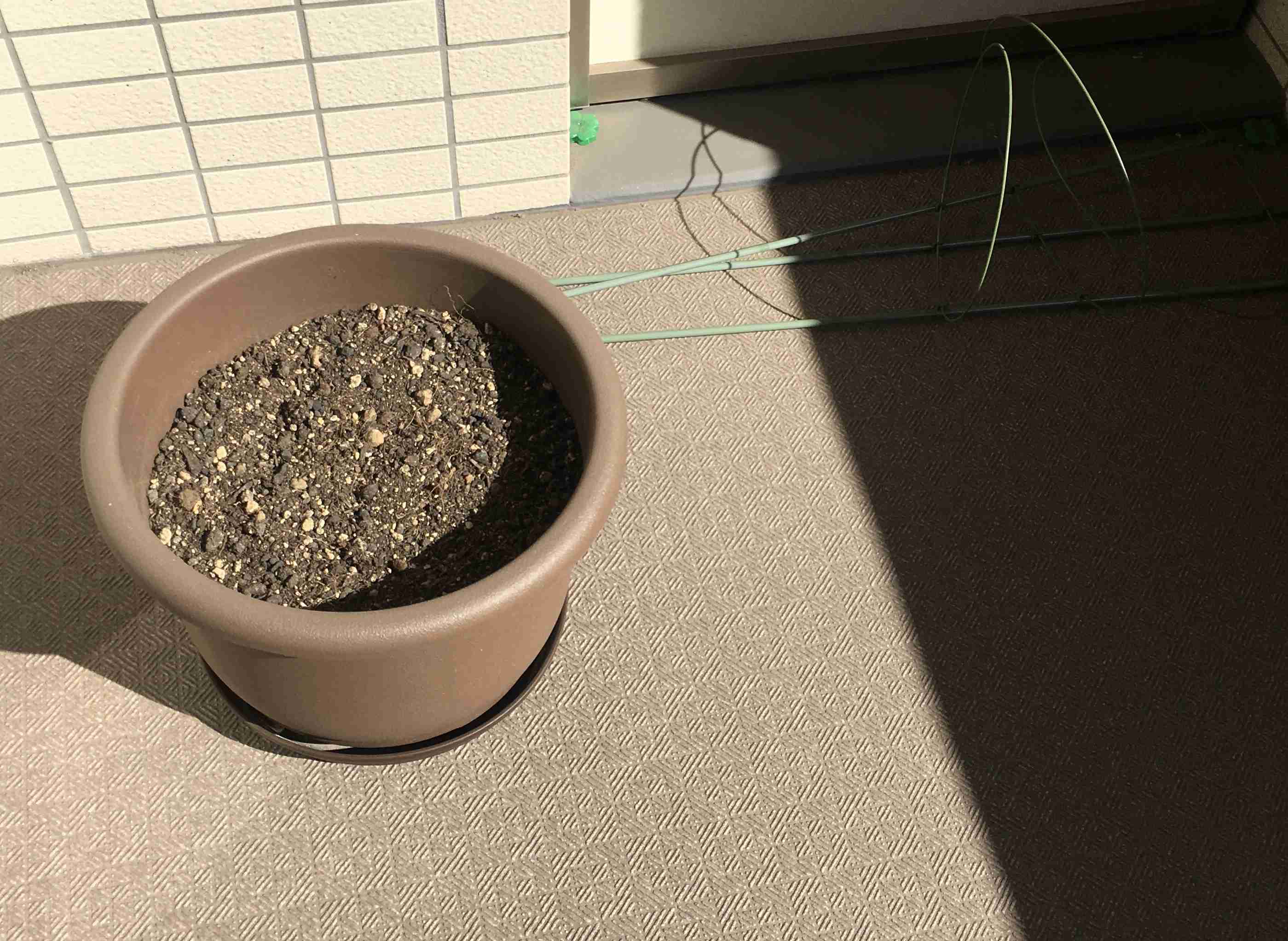 春の我が家の情景を貼るトピ