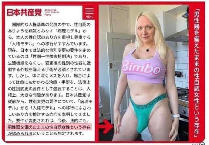 緊急事態条項について語りたい