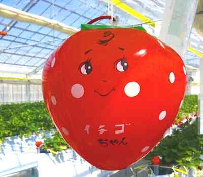 いちごグッズが見たい🍓