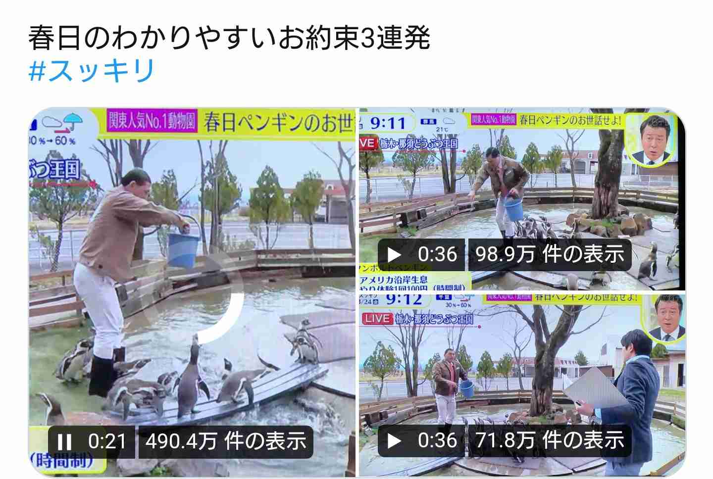 「スッキリ」生中継で那須どうぶつ王国が「厳重に抗議」オードリー春日がペンギン池進入