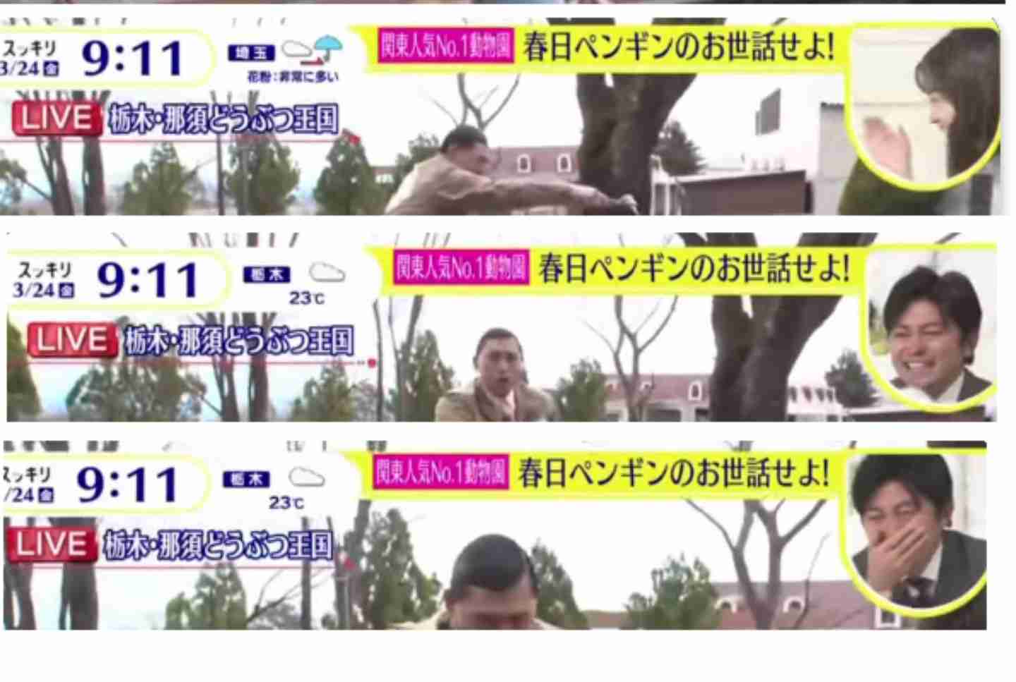 「スッキリ」生中継で那須どうぶつ王国が「厳重に抗議」オードリー春日がペンギン池進入