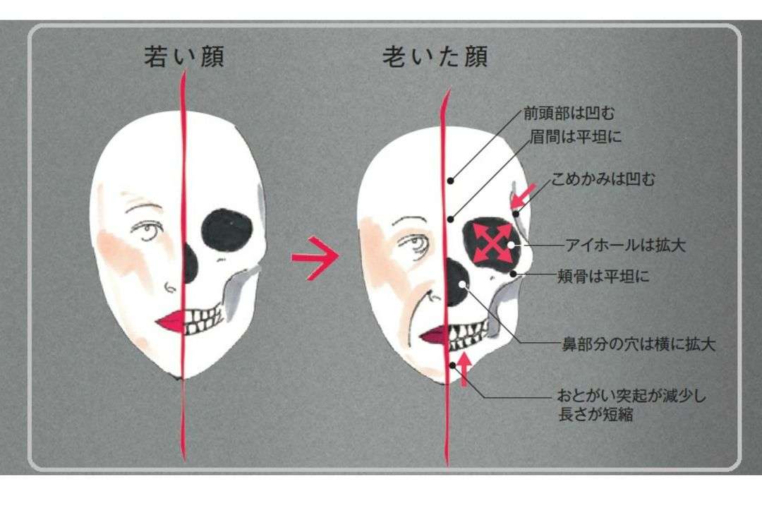 加齢で変わった顔の場所